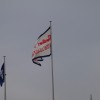 Thumbnail of post image 169